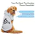 Velo macio roupas para cães de estimação cães hoodies camisola quente pet traje jaqueta para chihuahua bulldog francês labrador cães roupas - PetParadise