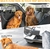 Cinto de segurança ajustável para pets, produto universal, prático, cinto de segurança para carro, filhote, cinto de segurança, fivela de segurança com clipe de viagem