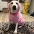 Velo macio roupas para cães de estimação cães hoodies camisola quente pet traje jaqueta para chihuahua bulldog francês labrador cães roupas