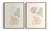 Imagem do Kit 2 Quadros Abstratos Floral Folhagens Clean