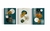 Kit 3 Quadros Abstratos Folhagens Dourados - comprar online