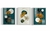 Kit 3 Quadros Abstratos Folhagens Dourados - Bukadinhos de coração