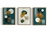 Kit 3 Quadros Abstratos Folhagens Dourados - loja online