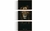 Imagem do Kit 3 Quadros Mosaico Leão
