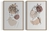 Kit 2 Quadros Mulher Floral Rosa - loja online