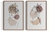 Imagem do Kit 2 Quadros Mulher Floral Rosa