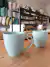 Mug Hojas - ambientmuebles