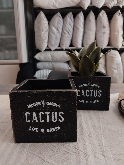 Caja Cactus