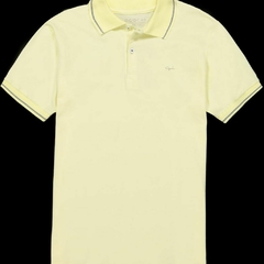 Polo ogochi