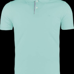 Polo ogochi