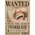 Poster Premiun - One Piece na internet