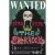 Poster Premiun - One Piece na internet