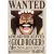 Poster Premiun - One Piece na internet