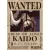 Poster Premiun - One Piece - comprar online