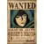 Poster Premiun - One Piece