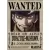 Poster Premiun - One Piece na internet