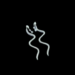 Aros Snake en internet