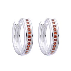 Aros Poly en internet