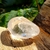 Quartzo Transparente - comprar online