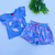CONJUNTO AZUL NOSTALGIA