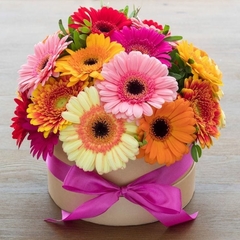 FDA23 - BOX FLOWER DE GERBERAS