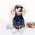 BLUSA GUCCI - Hype Pet Store