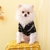 SUÉTER BALENCIAGA - Hype Pet Store