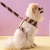 Imagem do COLEIRA FENDI