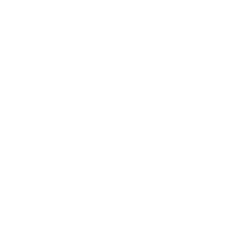 Moreira Store