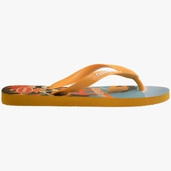 Havaianas Top Postcard na internet