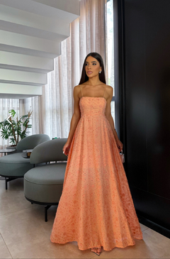 Vestido Perrir 3D na internet