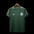 Palmeiras 14/15 Retrô