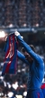 Banner de Bit Store