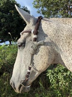 Banner da categoria Cabeçadas
