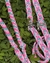 Rédea profissional - mesclada rosa bebê - comprar online