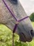 Cabresto regulável - Roxo / dourado - LC Horses