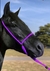 Cabresto regulável - Roxo / preto - comprar online