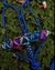 Cabresto corações neons - azul - comprar online