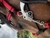 Banner de LC Horses