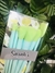 PINCÉIS FRUTAS SARAH´S BEAUTY - MAÇÃ VERDE - comprar online