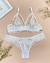 Conjunto Transparência