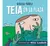 TEIA EN LA PLAZA- GISELA YAÑEZ