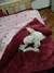 Cama sobre para perro bolsa de dormir 70x70cm en internet