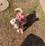 Vestido térmico para perritas coquettes - Tan Karen