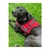 Pechera Para Perros Arnés Pretal Anti Tirones Acolchado - comprar online