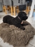 Nido dona de pelo nórdico 60cm para perros y gatos - comprar online