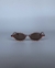 BOTTEGA VENETA CLASSIC OVAL SUNGLASSES - comprar online