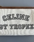 SMALL POUCH CELINE TRIOMPHE - loja online