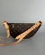 LOUIS VUITTON BUMBAG na internet