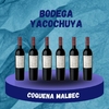 COQUENA MALBEC (CAJA X 6 UNIDADES)